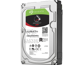 Жесткий диск 2Тб SATA-III Seagate IronWolf Pro [ST2000NE0025]