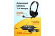 Компьютерная гарнитура Ritmix RH-533 USB