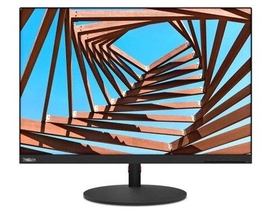 Монитор Lenovo 25" ThinkVision T25d-10 