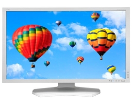 Монитор NEC 30" MultiSync PA302W 