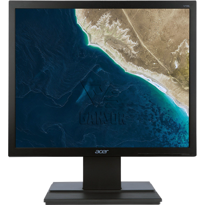 Монитор Acer 19" V196LBb 