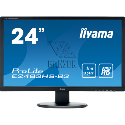 Монитор Iiyama 24" ProLite E2483HS-B3 