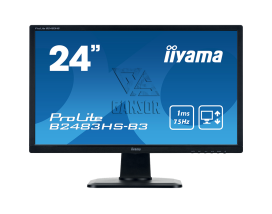 Монитор Iiyama 24" ProLite B2483HS-B3 