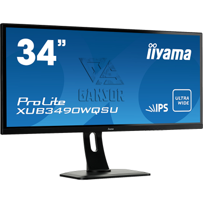 Монитор Iiyama 34" ProLite XUB3490WQSU-1 