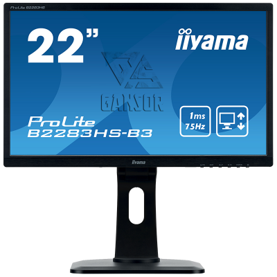 Монитор Iiyama 22" ProLite B2283HS-3 