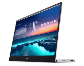 Монитор Dell 14" C1422H [1422-7746]