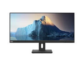 Монитор Lenovo 29" ThinkVision E29w-20 [62CEGAT3EU]