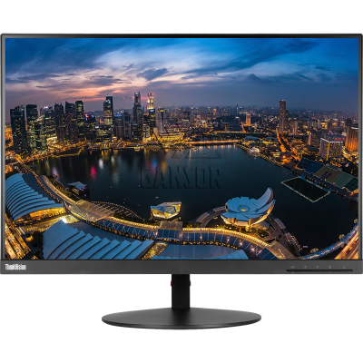 Монитор Lenovo 24" ThinkVision T24d-10 