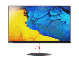 Монитор Lenovo 24" ThinkVision X24-20 