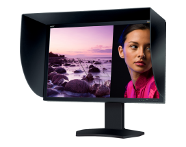 Монитор NEC 30" SpectraView Reference 302 