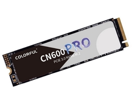 Купить Накопитель SSD 256Gb Colorful CN600 Pro