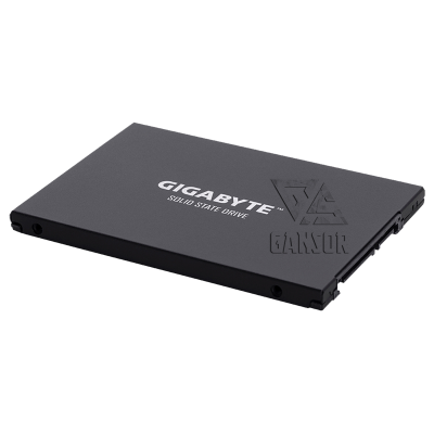 Твердотельный накопитель 256Гб SSD Gigabyte UD PRO [GP-GSTFS30256GTTD]