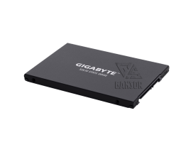 Твердотельный накопитель 256Гб SSD Gigabyte UD PRO [GP-GSTFS30256GTTD]