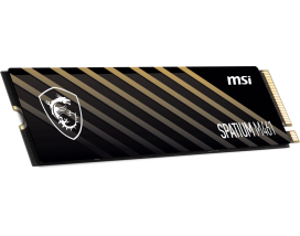 Купить Накопитель SSD 4Tb MSI SPATIUM M461 (SPATIUM M461 PCIe 4.0 NVMe M.2 4TB)