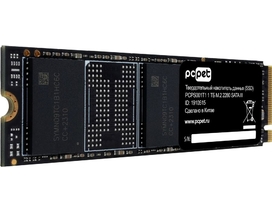 Купить Накопитель SSD 1Tb PC PET (PCPS001T1) OEM