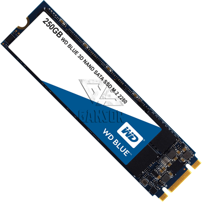 Твердотельный накопитель 250Гб SSD Western Digital Blue [WDS250G2B0B]