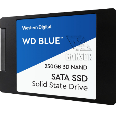 Твердотельный накопитель 250Гб SSD Western Digital Blue [WDS250G2B0A]