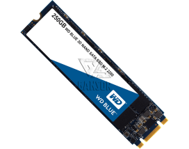 Твердотельный накопитель 250Гб SSD Western Digital Blue [WDS250G2B0B]